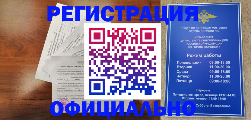 прописка поиск в Щёкино